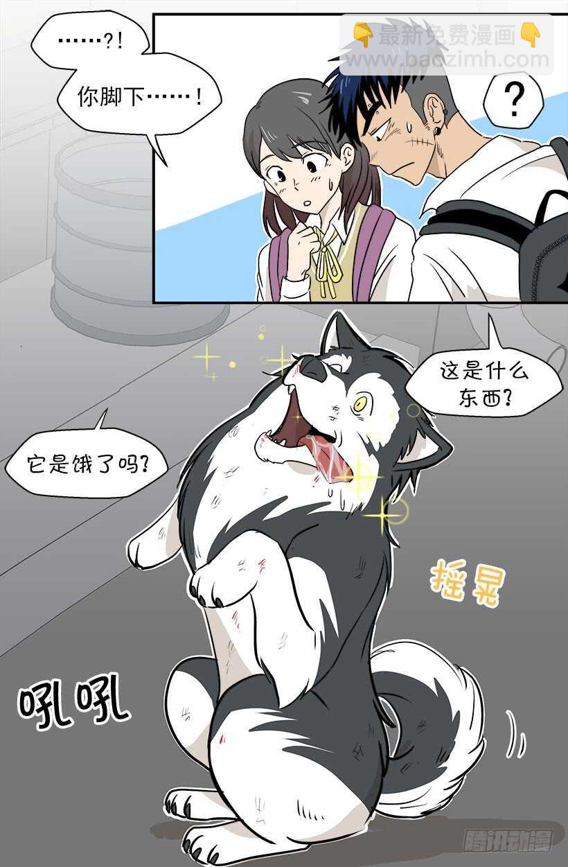 《被废弃的皇妃》贵重的礼物 第3页