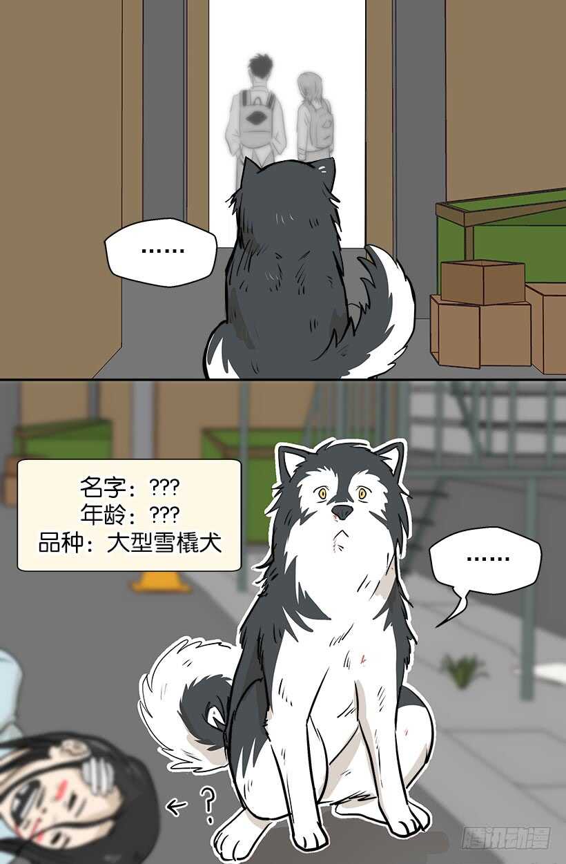 《被废弃的皇妃》贵重的礼物 第7页
