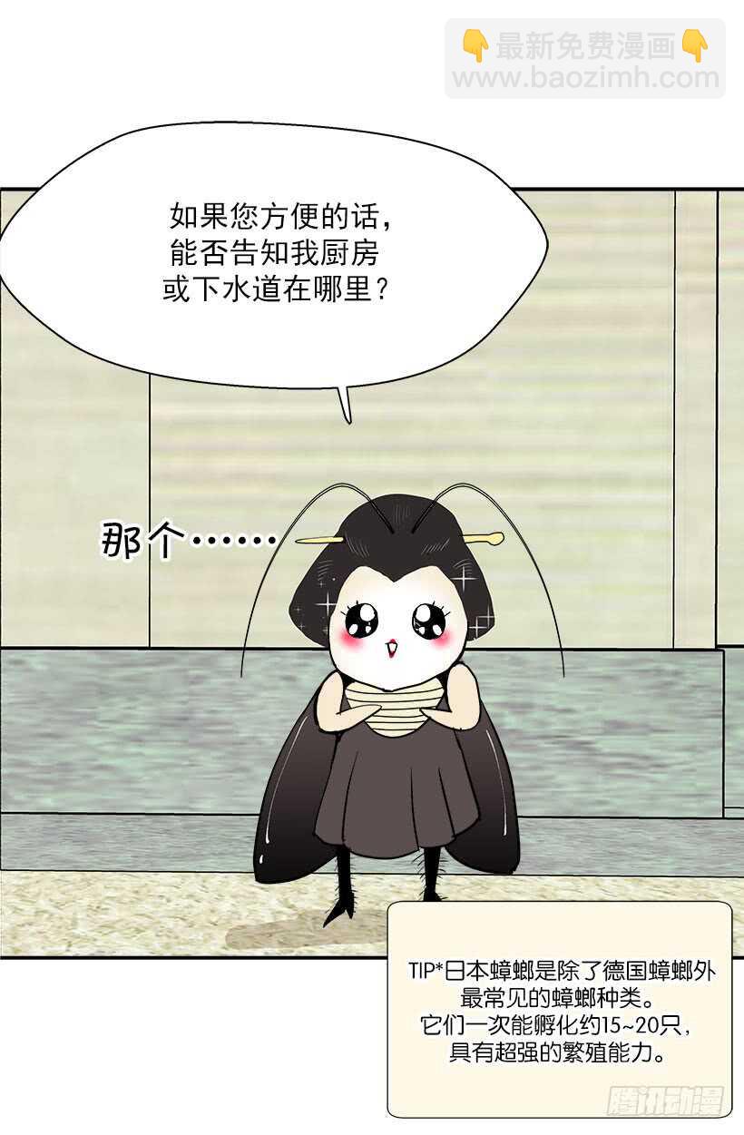 《被废弃的皇妃》在向我示威吗 第11页