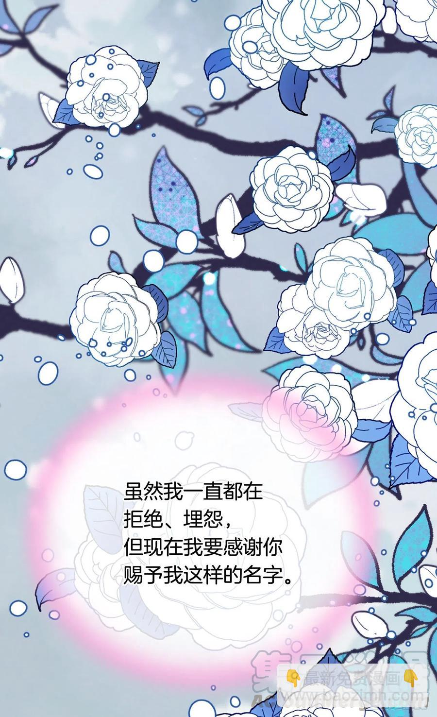 《被废弃的皇妃》过度的优待 第40页