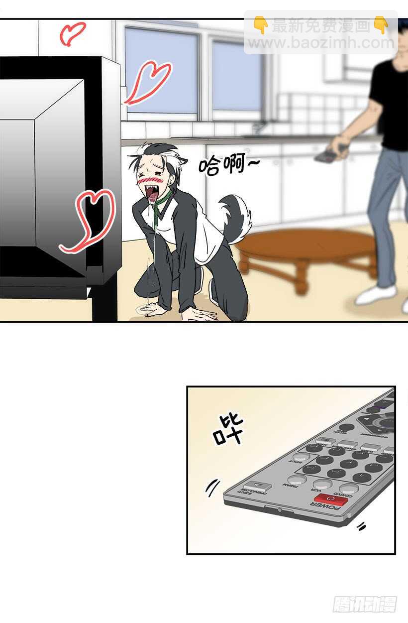《被废弃的皇妃》我接受道歉 第20页