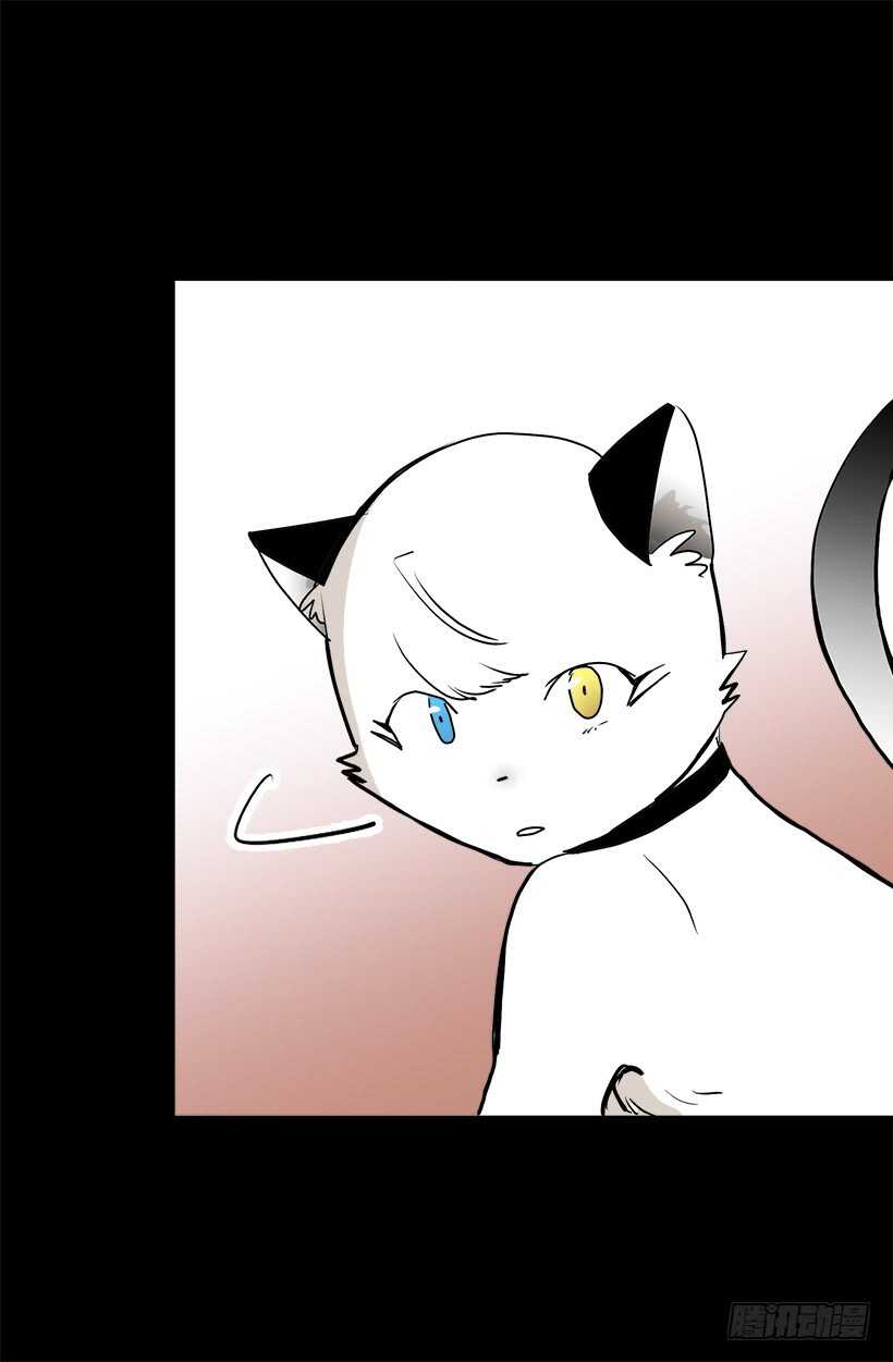 《被废弃的皇妃》她们想当皇妃 第11页