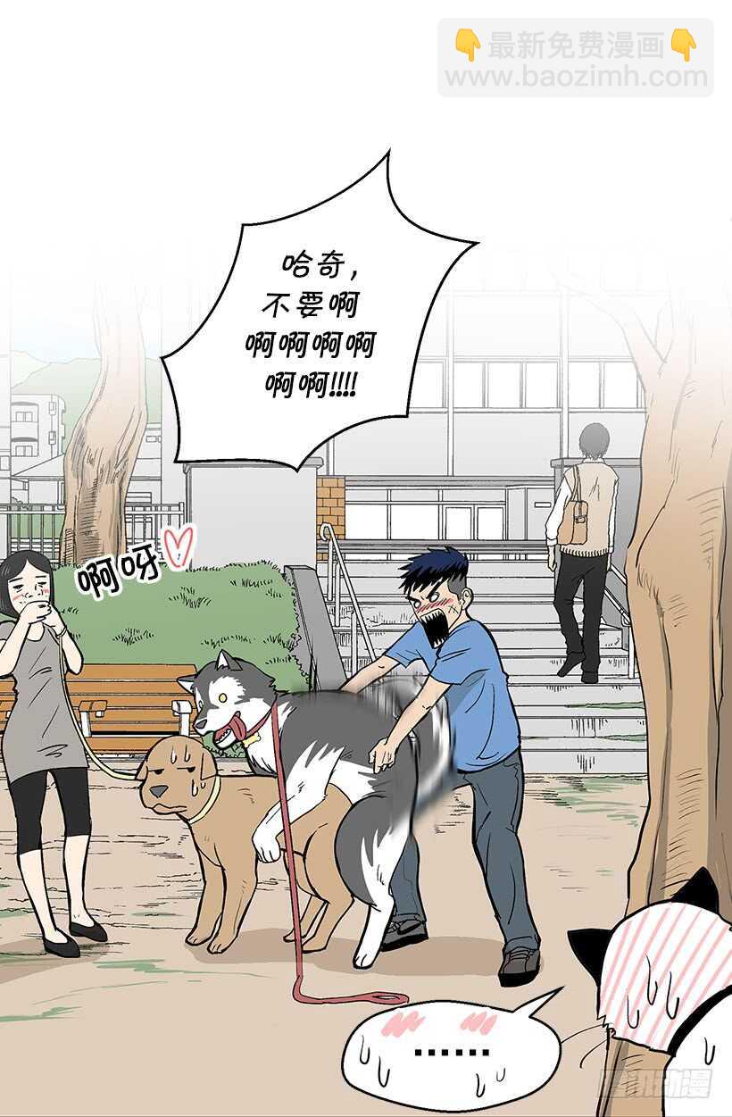 《被废弃的皇妃》她们想当皇妃 第3页