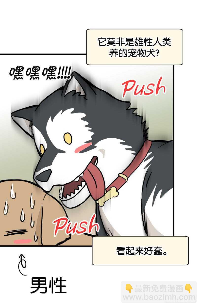 《被废弃的皇妃》她们想当皇妃 第4页