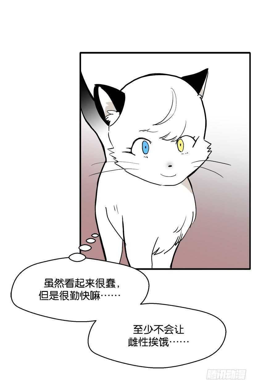 《被废弃的皇妃》她们想当皇妃 第8页