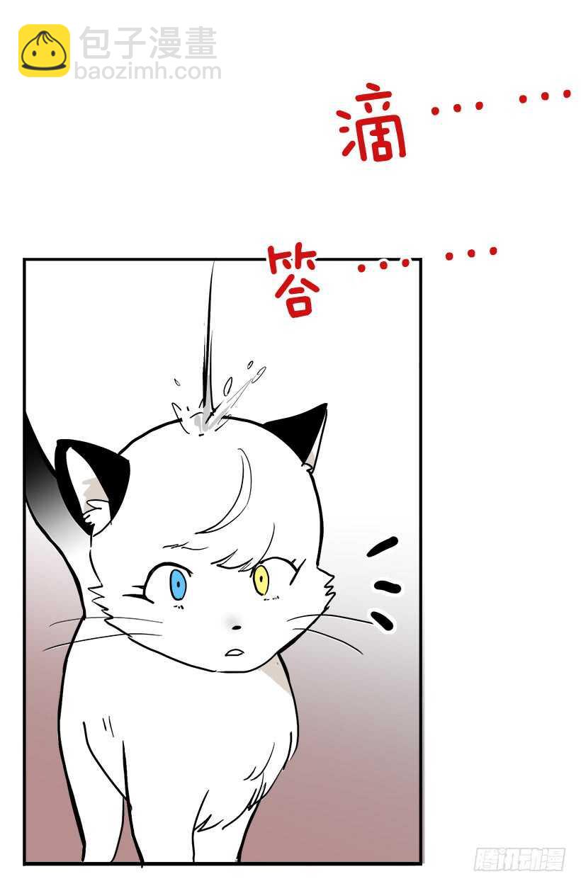 《被废弃的皇妃》她们想当皇妃 第9页