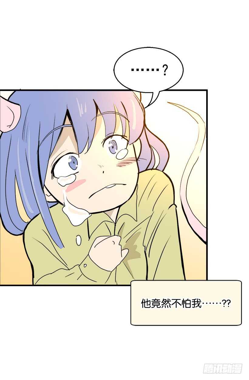 《被废弃的皇妃》因为嫉妒 第19页