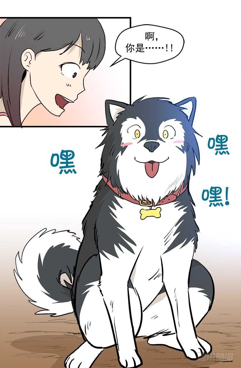 《被废弃的皇妃》只是噩梦 第12页