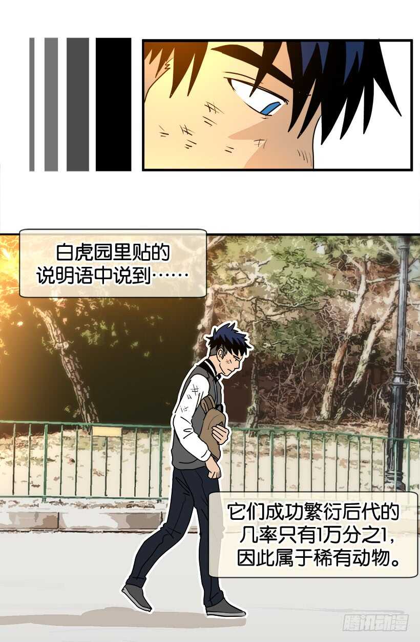 《被废弃的皇妃》随波逐流 第11页