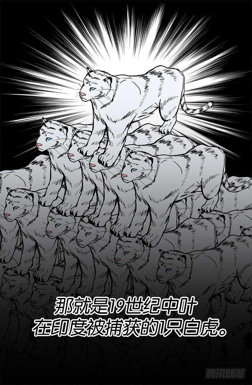 《被废弃的皇妃》随波逐流 第6页