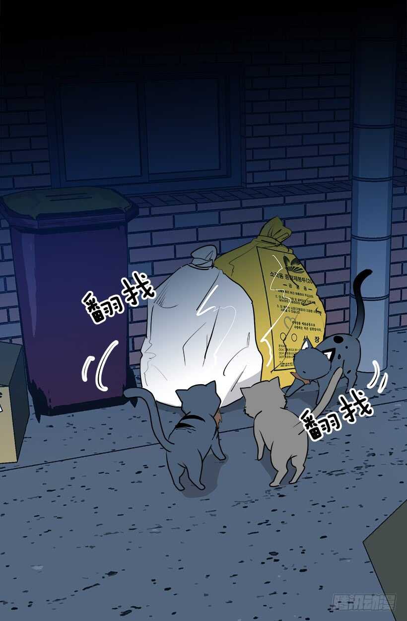 《被废弃的皇妃》何去何从 第4页