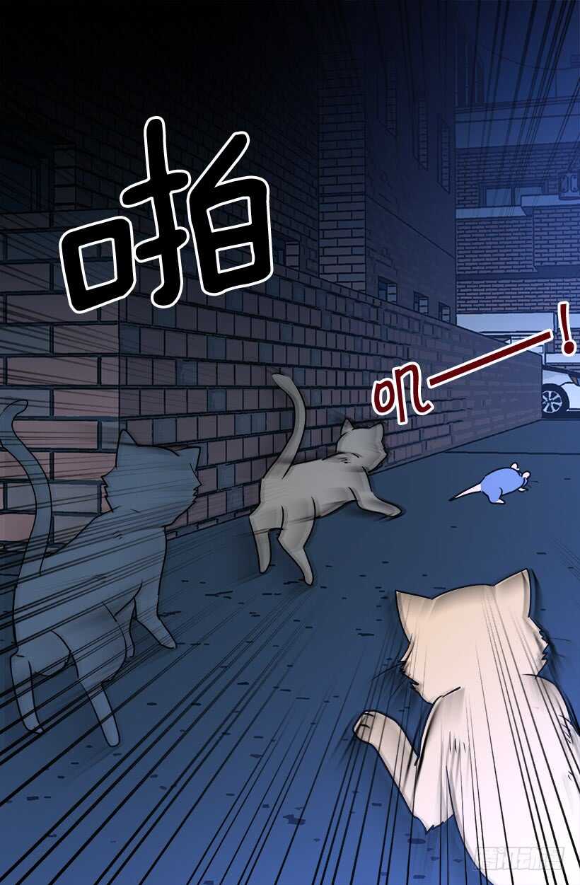 《被废弃的皇妃》何去何从 第6页