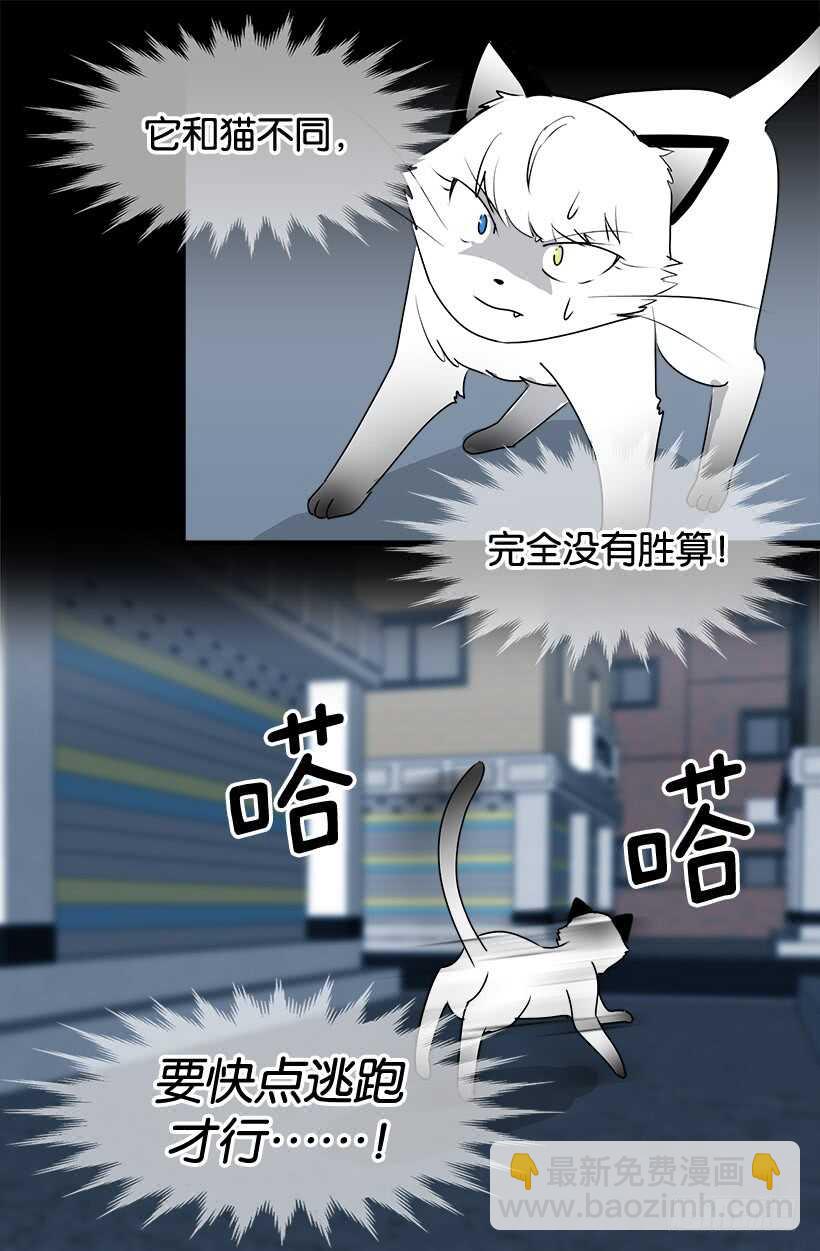 《被废弃的皇妃》第一季完结篇 第10页
