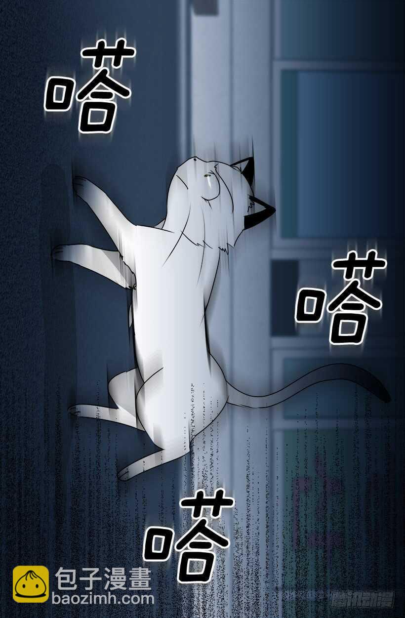 《被废弃的皇妃》第一季完结篇 第11页