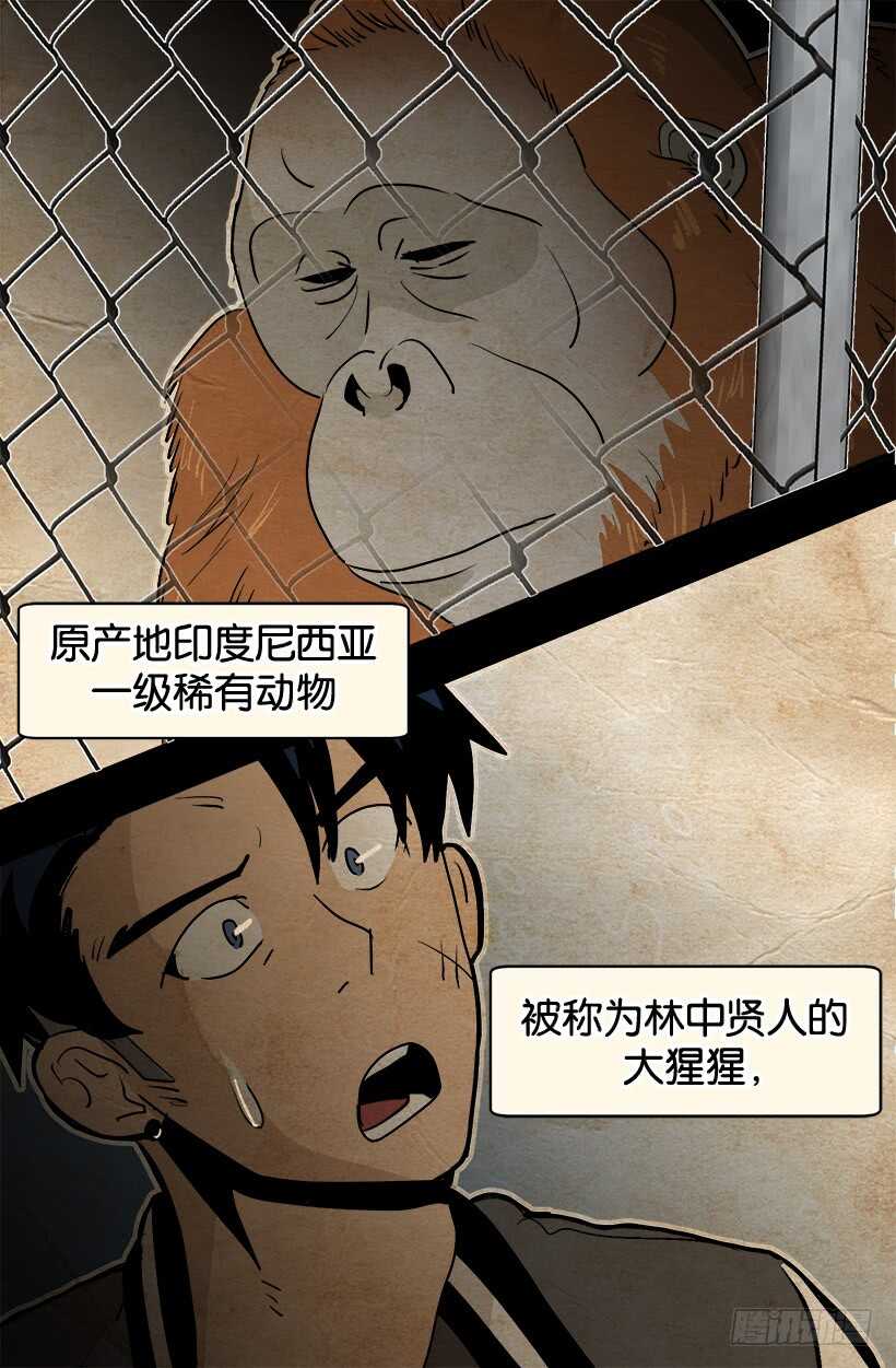 《被废弃的皇妃》你会先见到她 第14页
