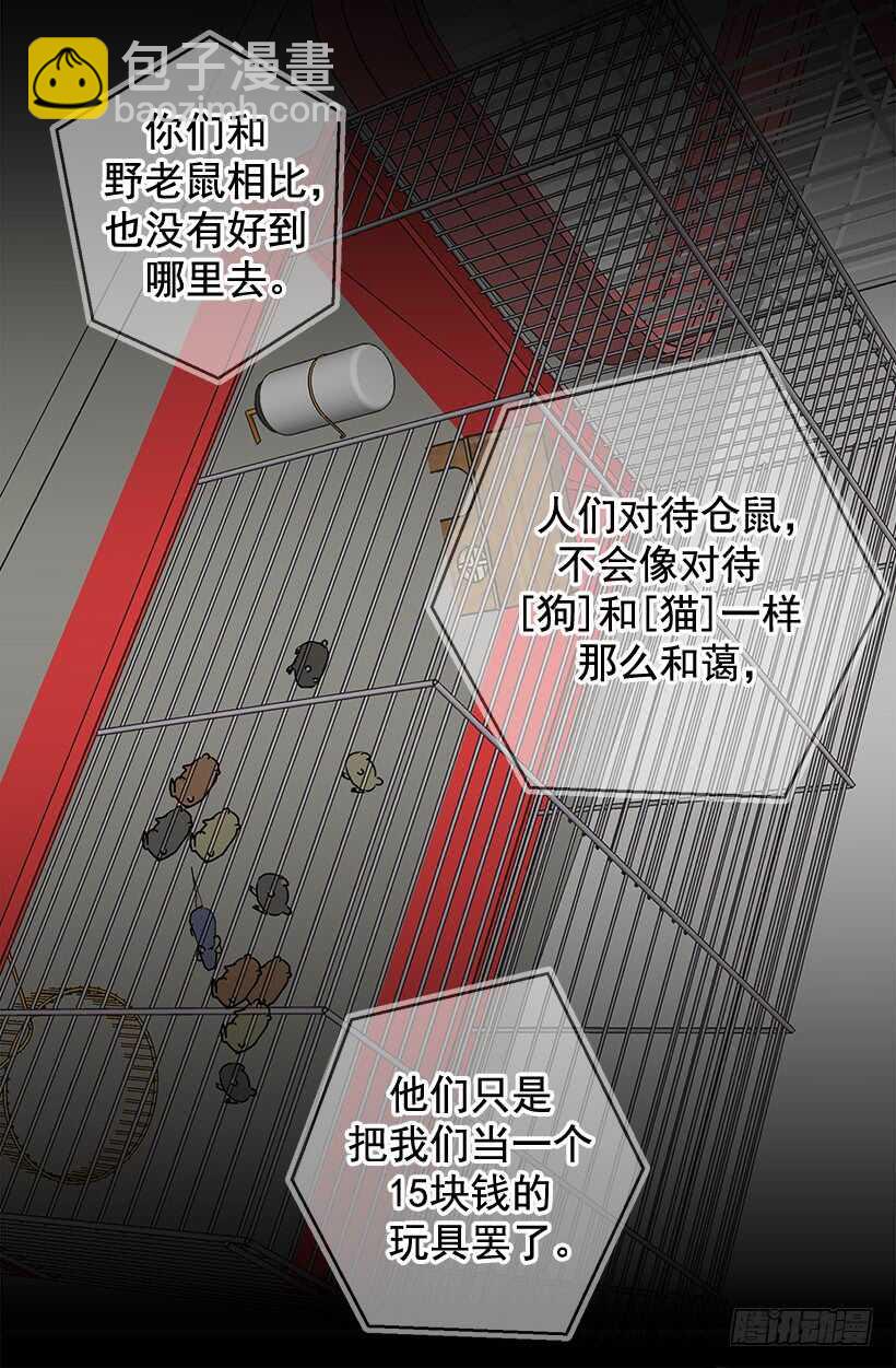 《被废弃的皇妃》这是给你的 第8页