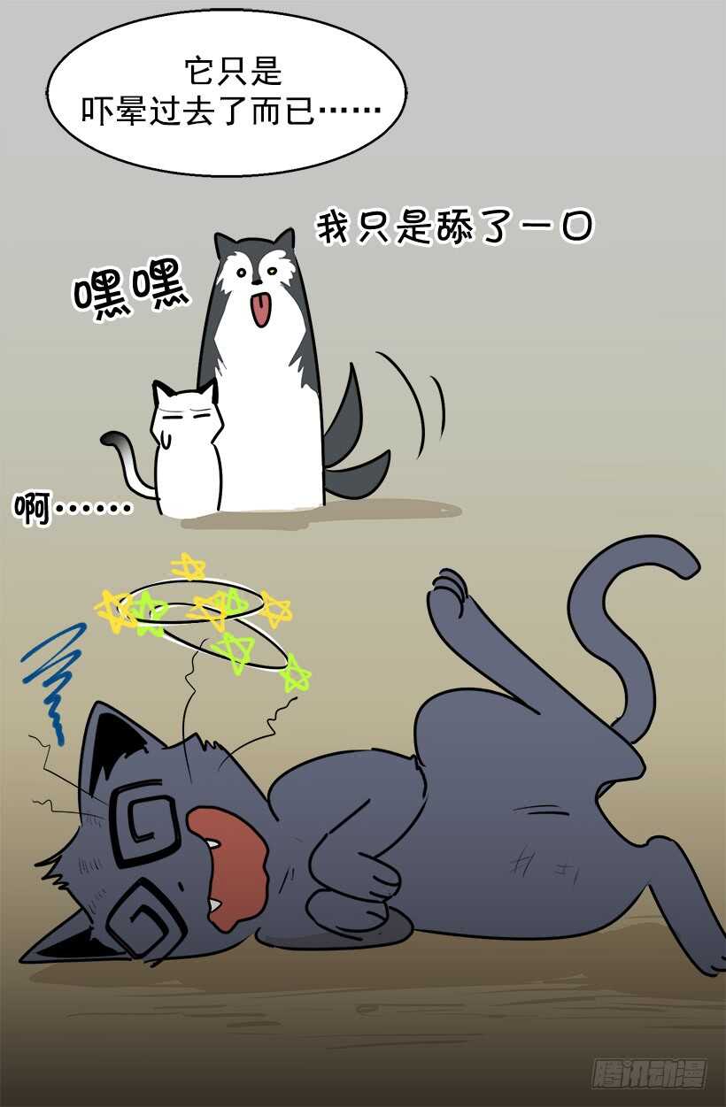 《被废弃的皇妃》准备周全 第11页