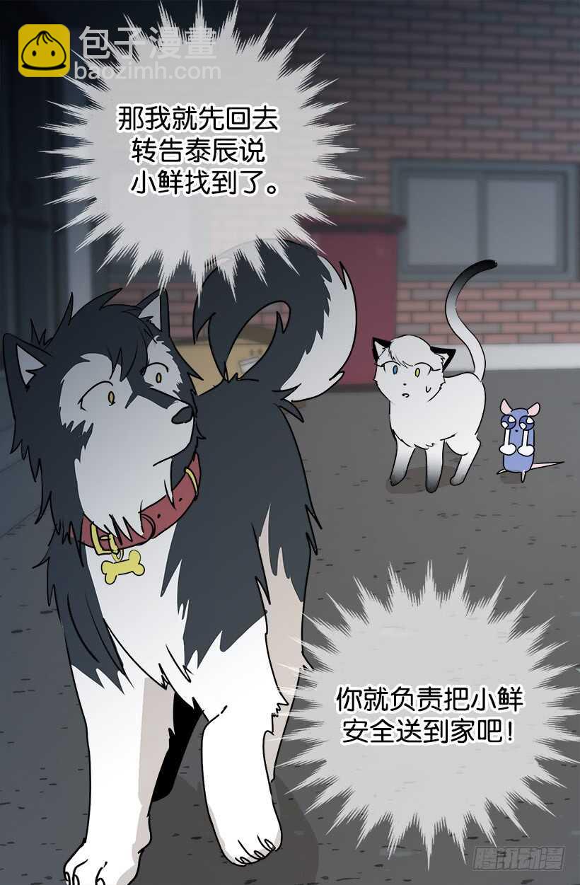 《被废弃的皇妃》准备周全 第12页
