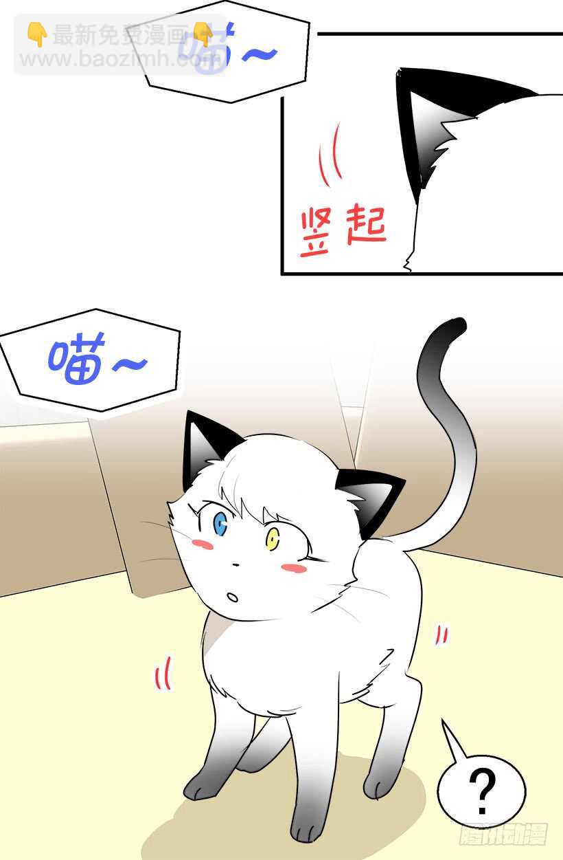 《被废弃的皇妃》有种距离感 第12页