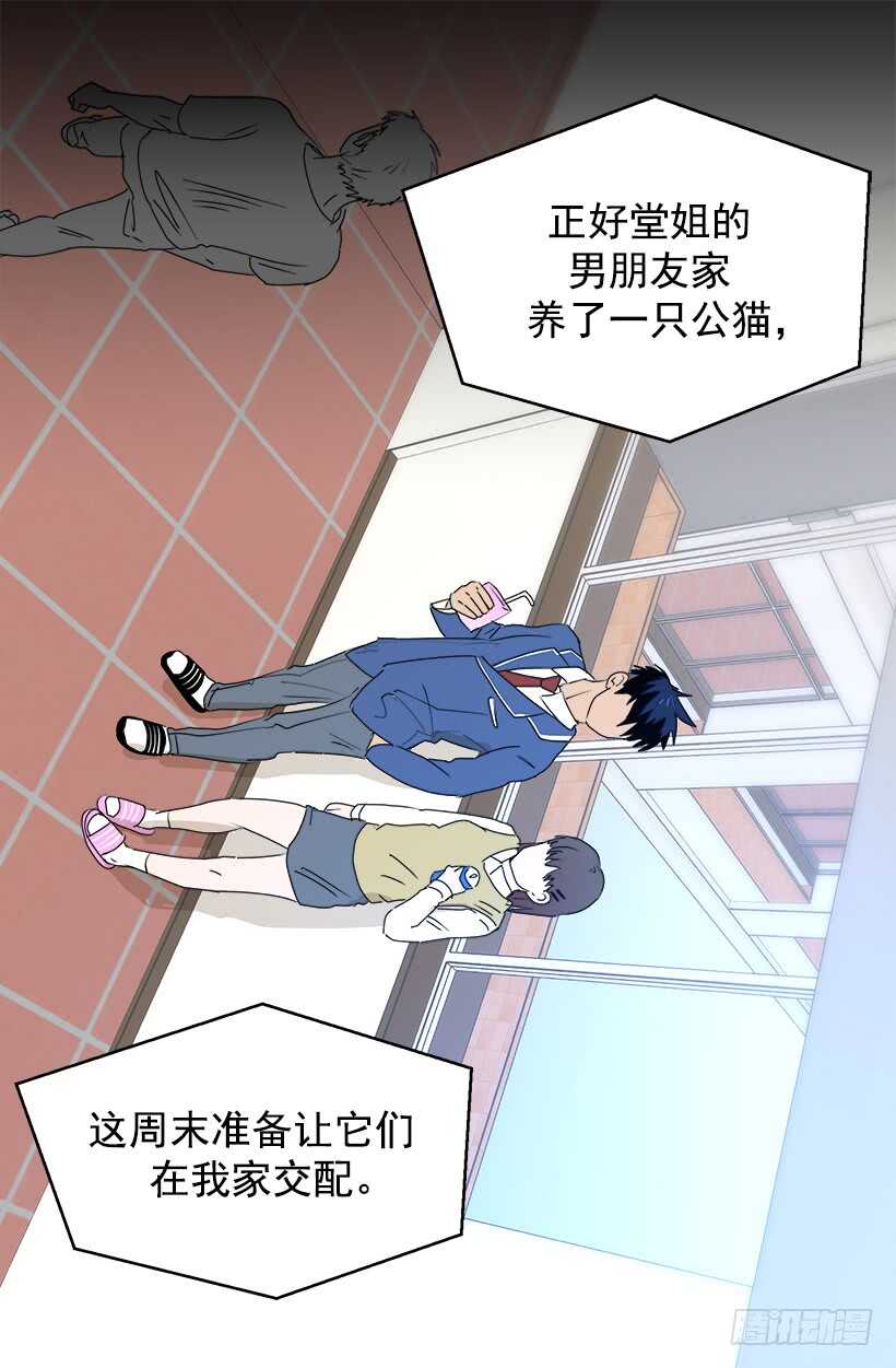《被废弃的皇妃》对你很期待 第13页
