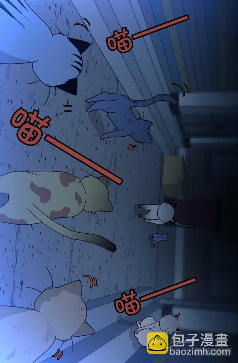 《被废弃的皇妃》怎么会这样 第10页