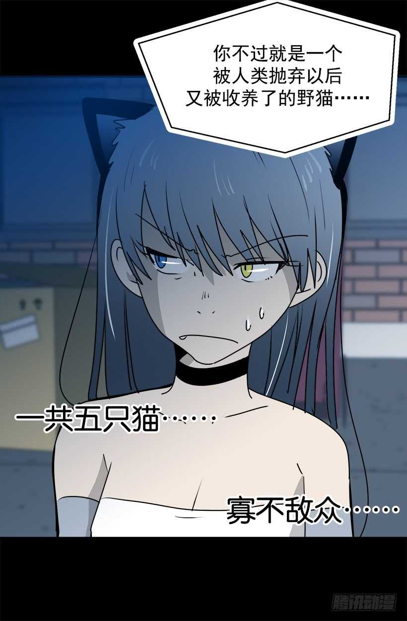 《被废弃的皇妃》怎么会这样 第11页