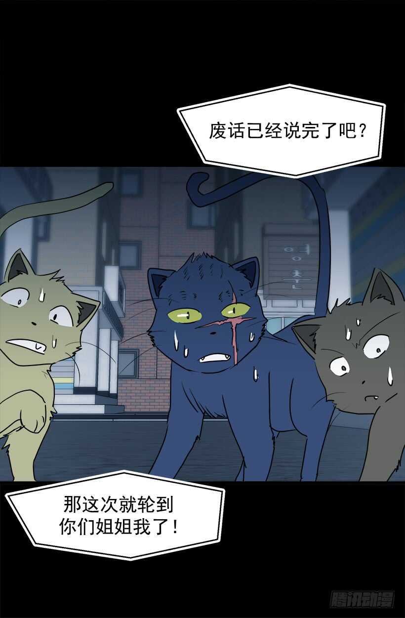 《被废弃的皇妃》怎么会这样 第13页