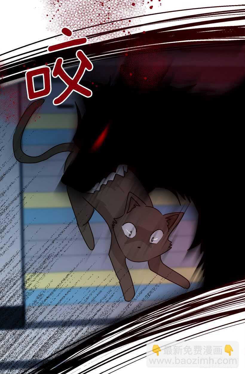 《被废弃的皇妃》怎么会这样 第17页
