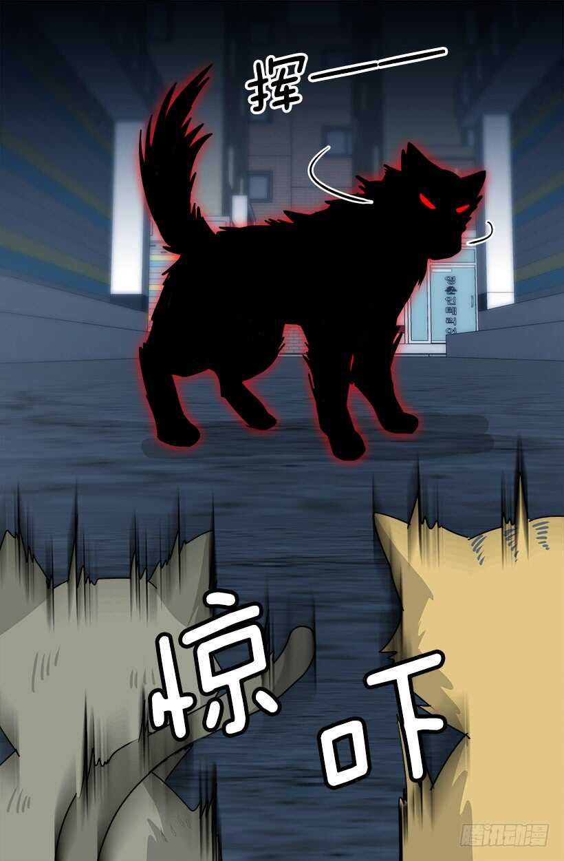 《被废弃的皇妃》怎么会这样 第19页