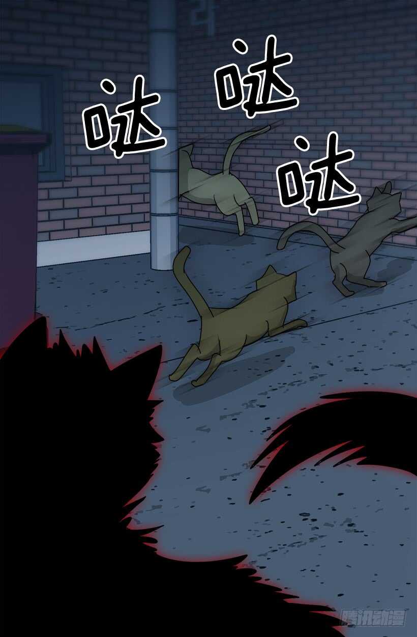 《被废弃的皇妃》怎么会这样 第20页