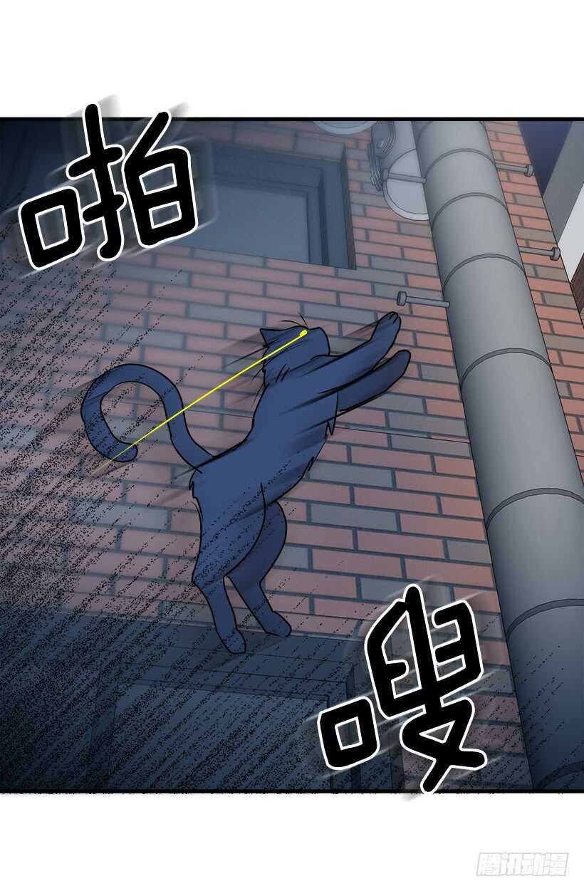 《被废弃的皇妃》怎么会这样 第22页
