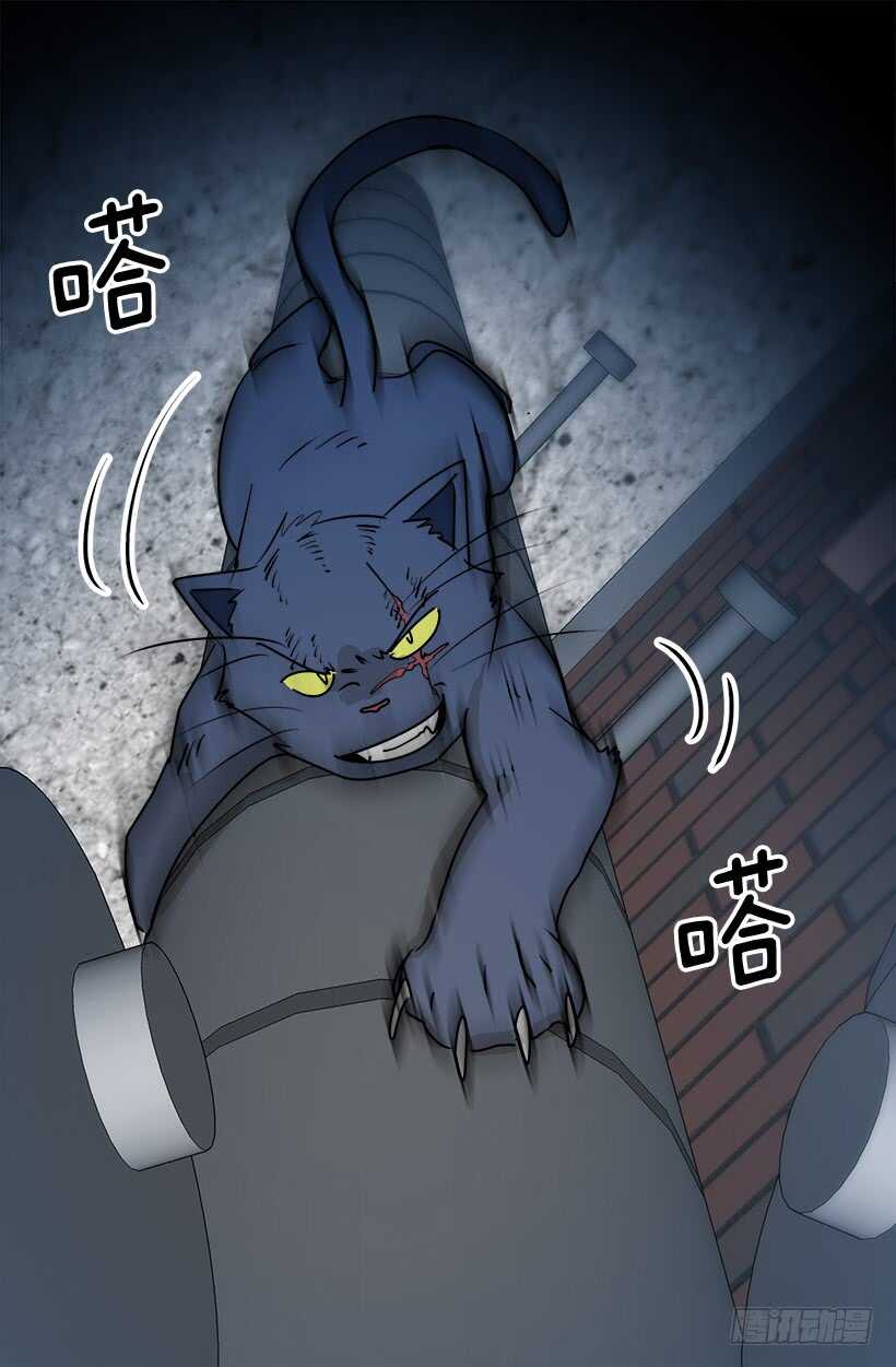 《被废弃的皇妃》怎么会这样 第23页