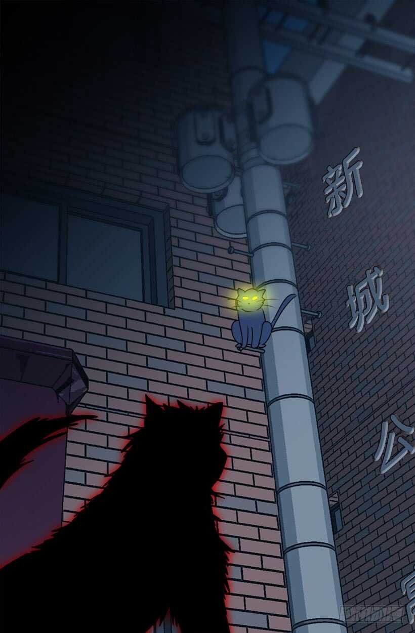 《被废弃的皇妃》怎么会这样 第24页