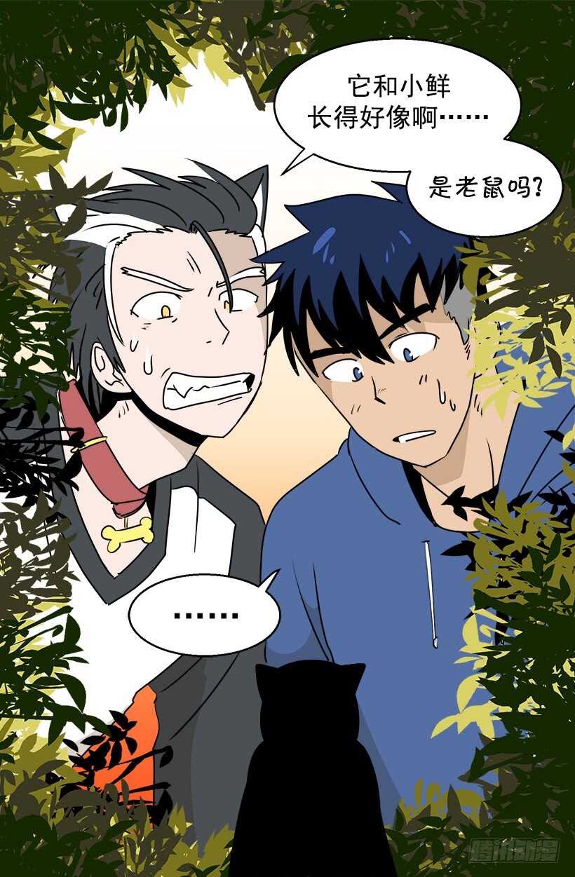 《被废弃的皇妃》恐怖的画面 第19页