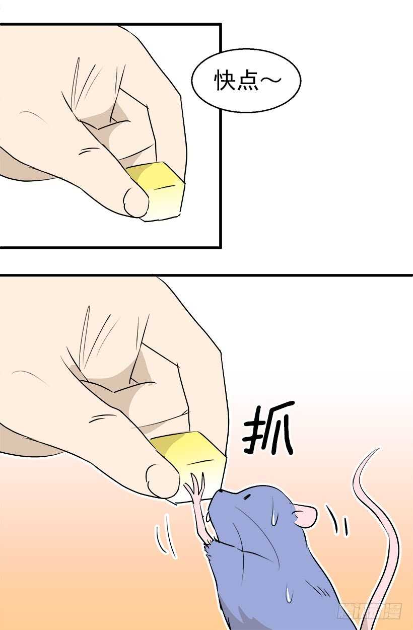 《被废弃的皇妃》给你忠告 第17页