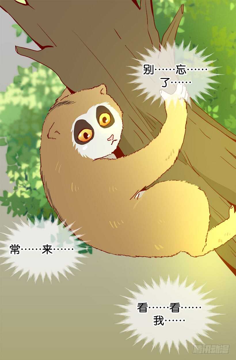 《被废弃的皇妃》我有信心 第13页