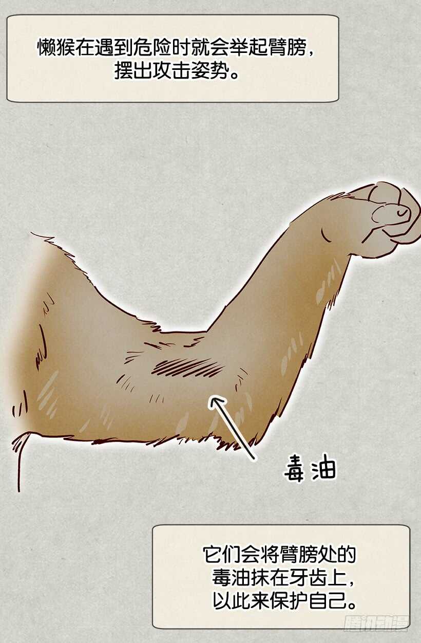《被废弃的皇妃》我有信心 第18页