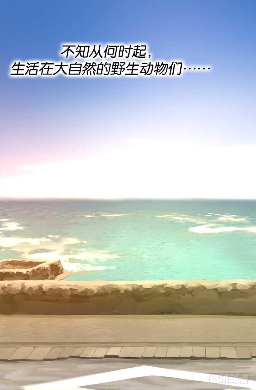 《被废弃的皇妃》我有信心 第20页