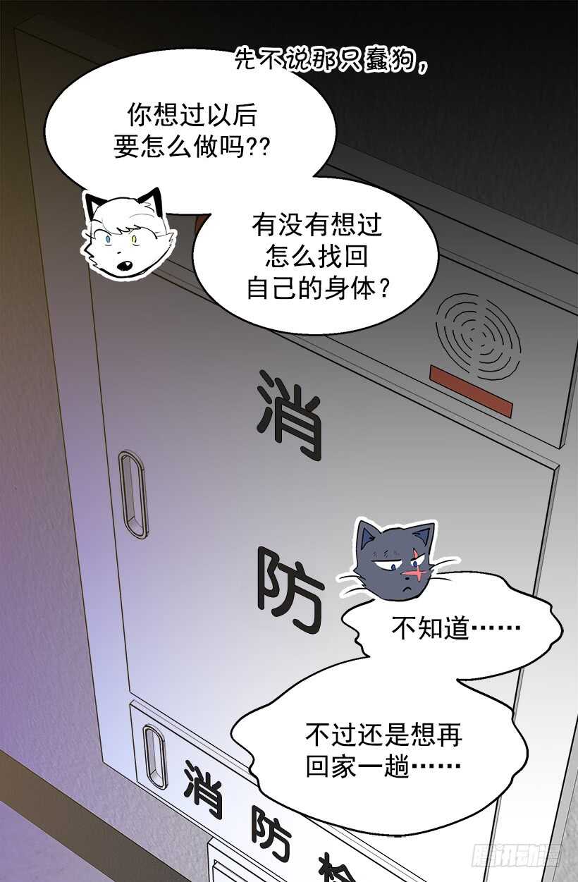 《被废弃的皇妃》温柔 第11页