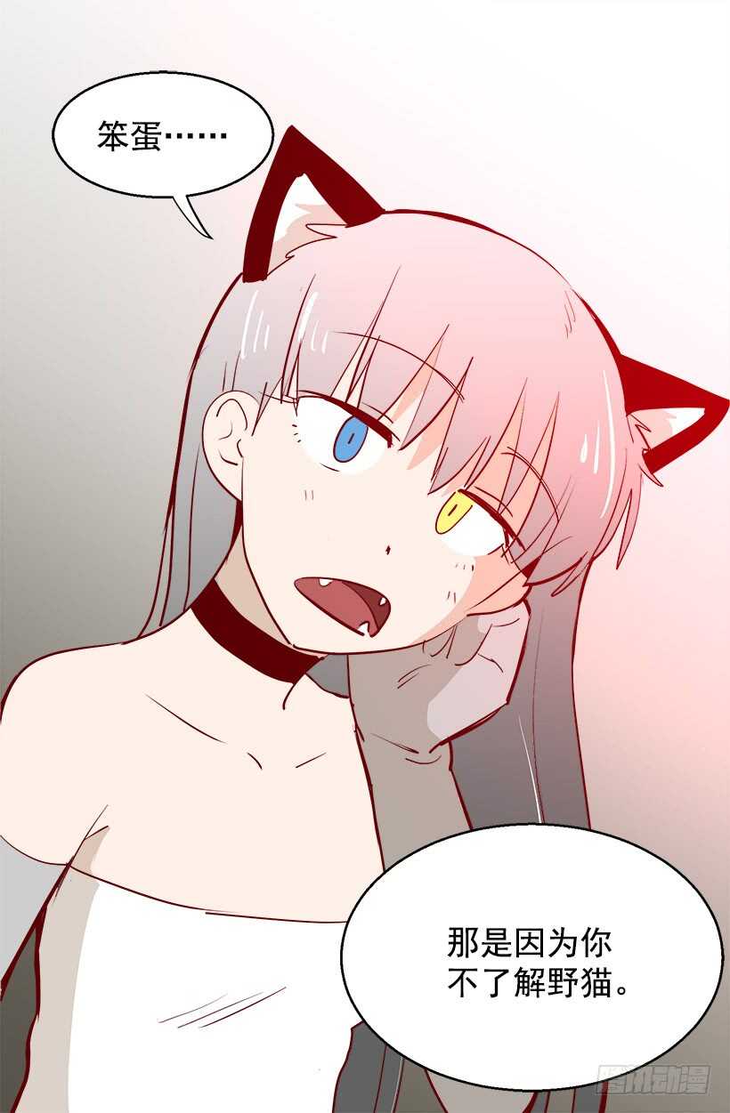 《被废弃的皇妃》温柔 第17页