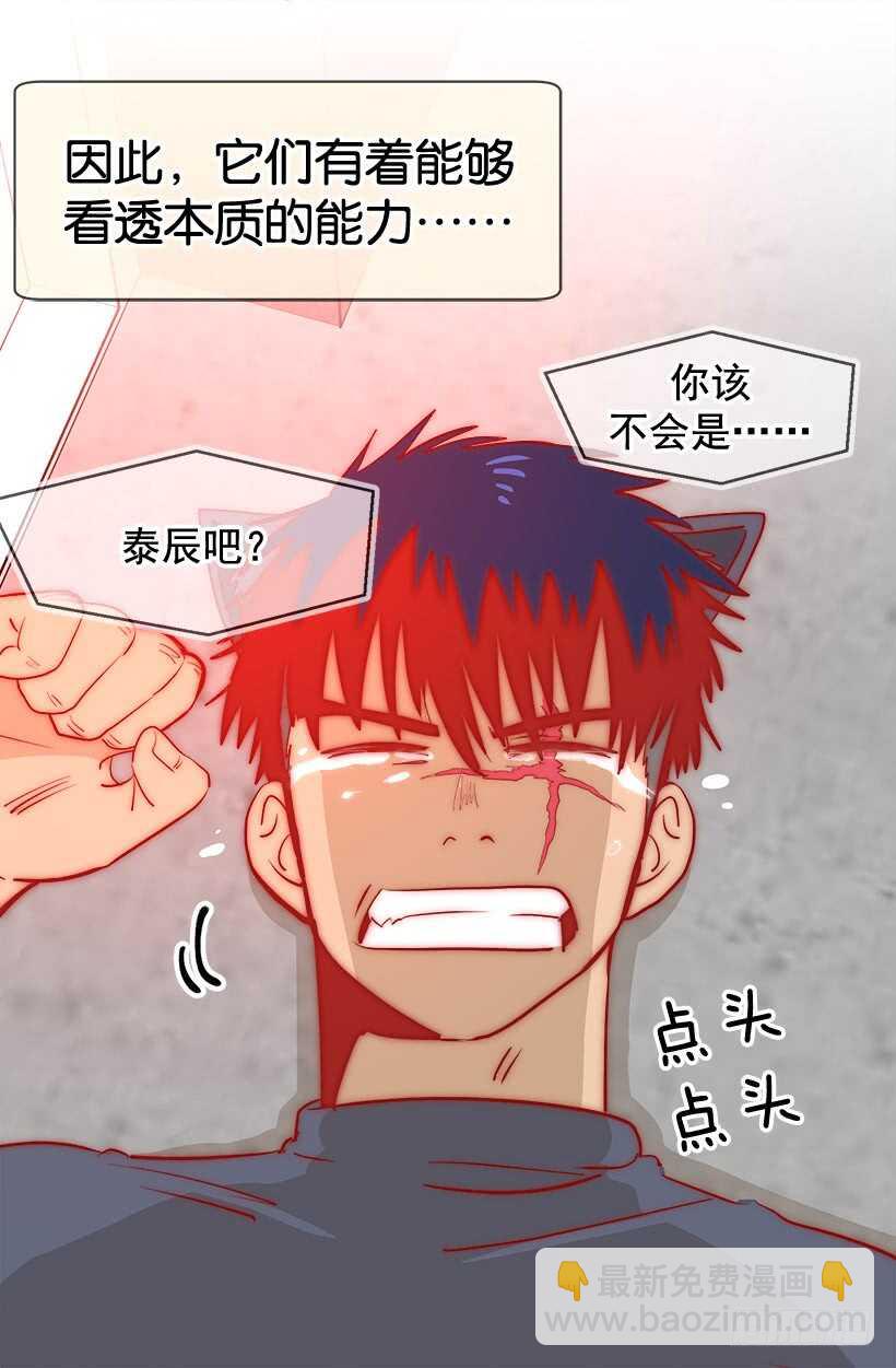 《被废弃的皇妃》温柔 第6页