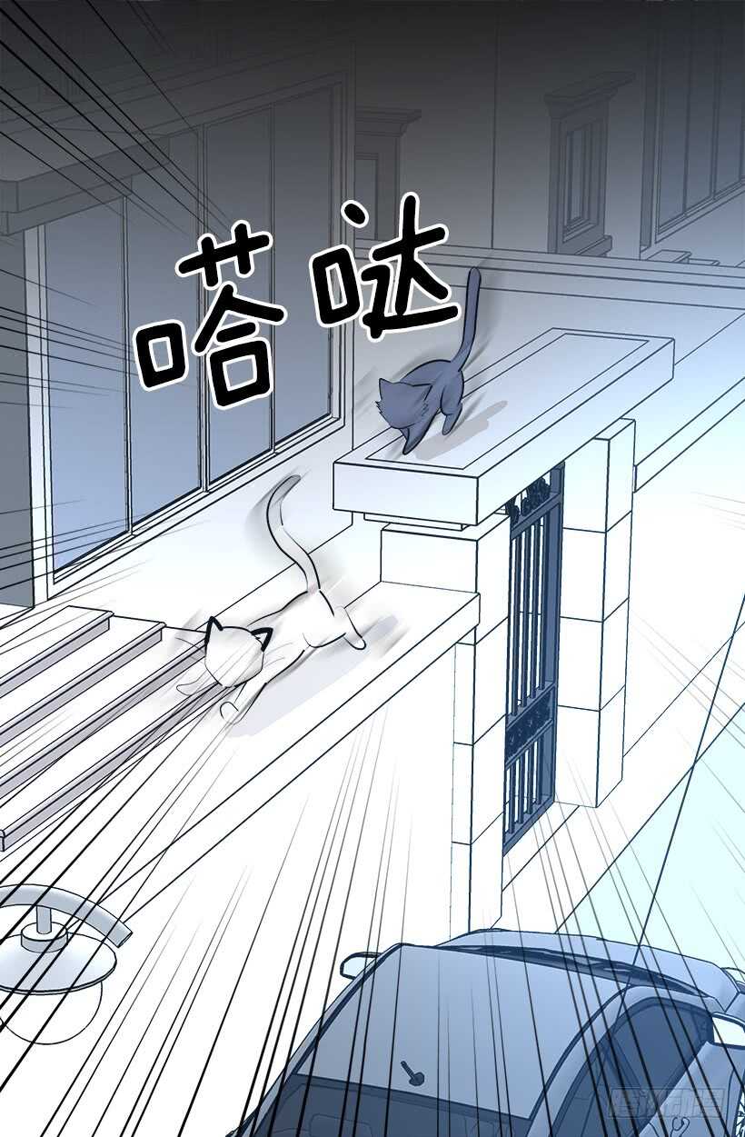 《被废弃的皇妃》陛下的心事 第3页