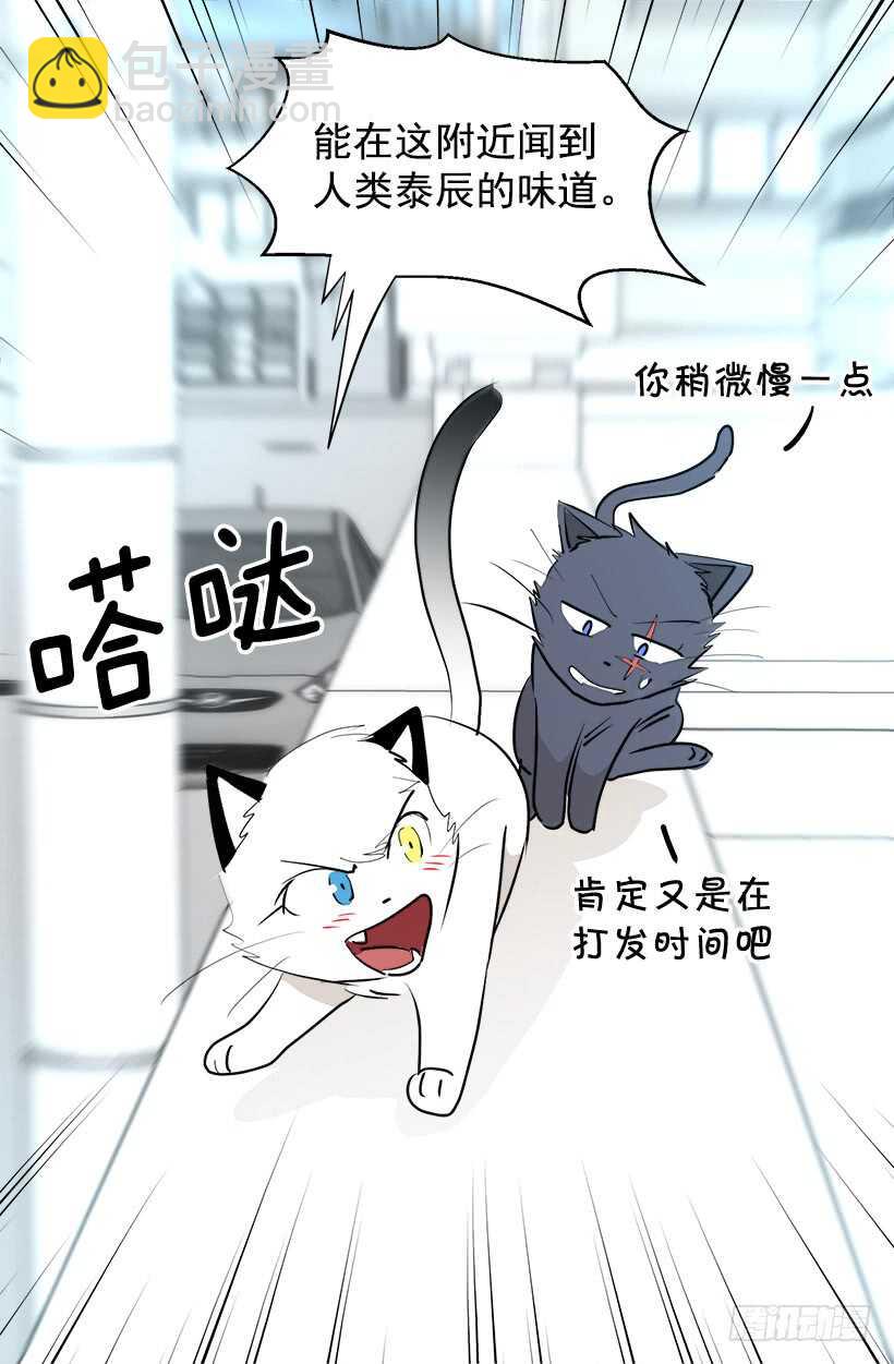 《被废弃的皇妃》陛下的心事 第4页