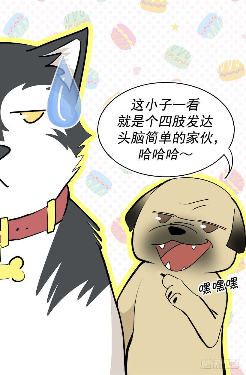 《被废弃的皇妃》意外发现秘密 第10页