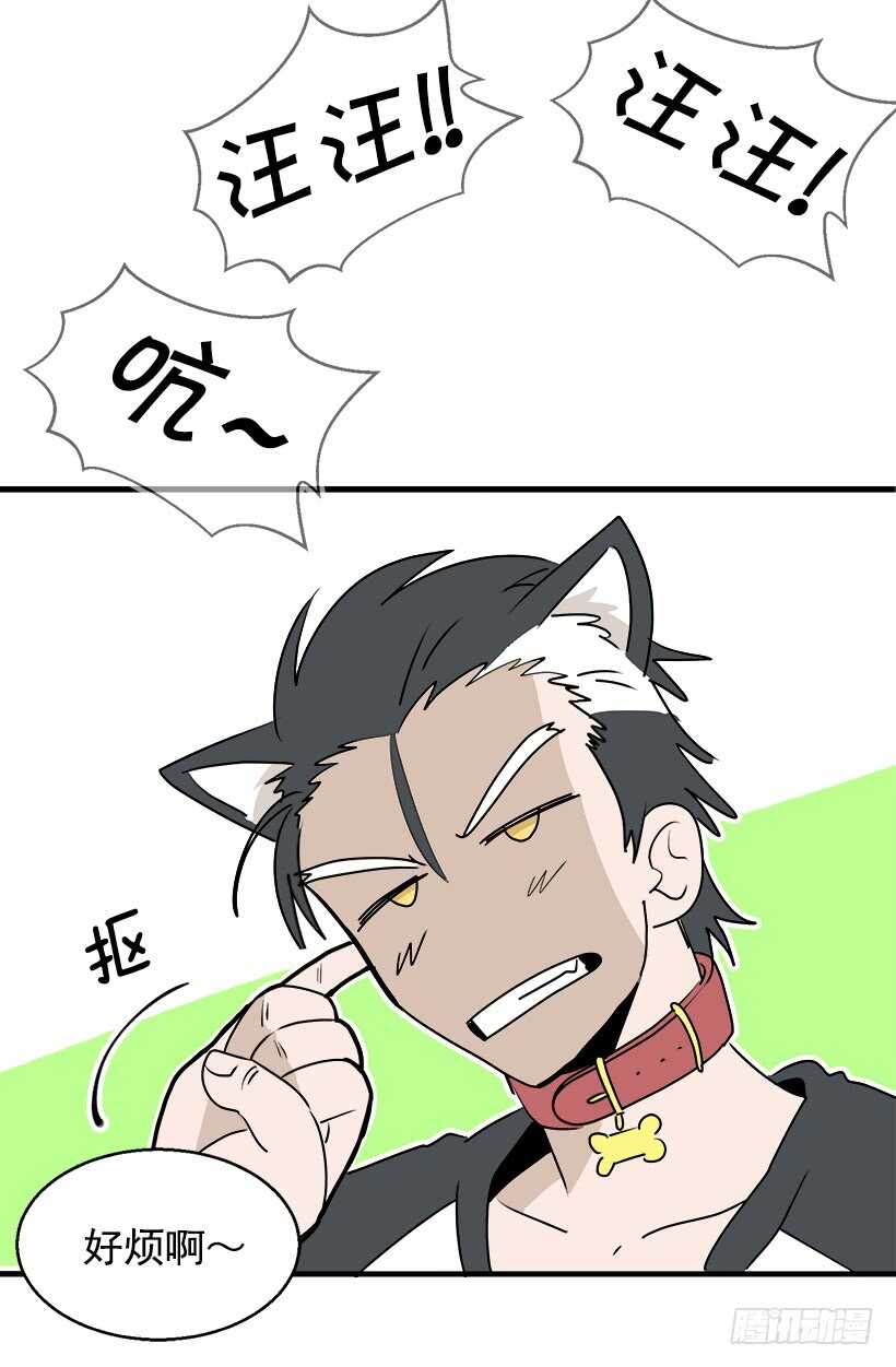 《被废弃的皇妃》意外发现秘密 第11页