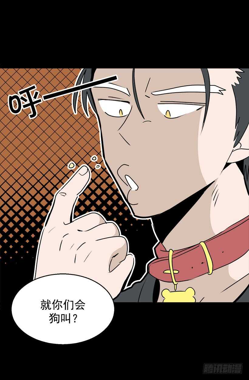 《被废弃的皇妃》意外发现秘密 第12页