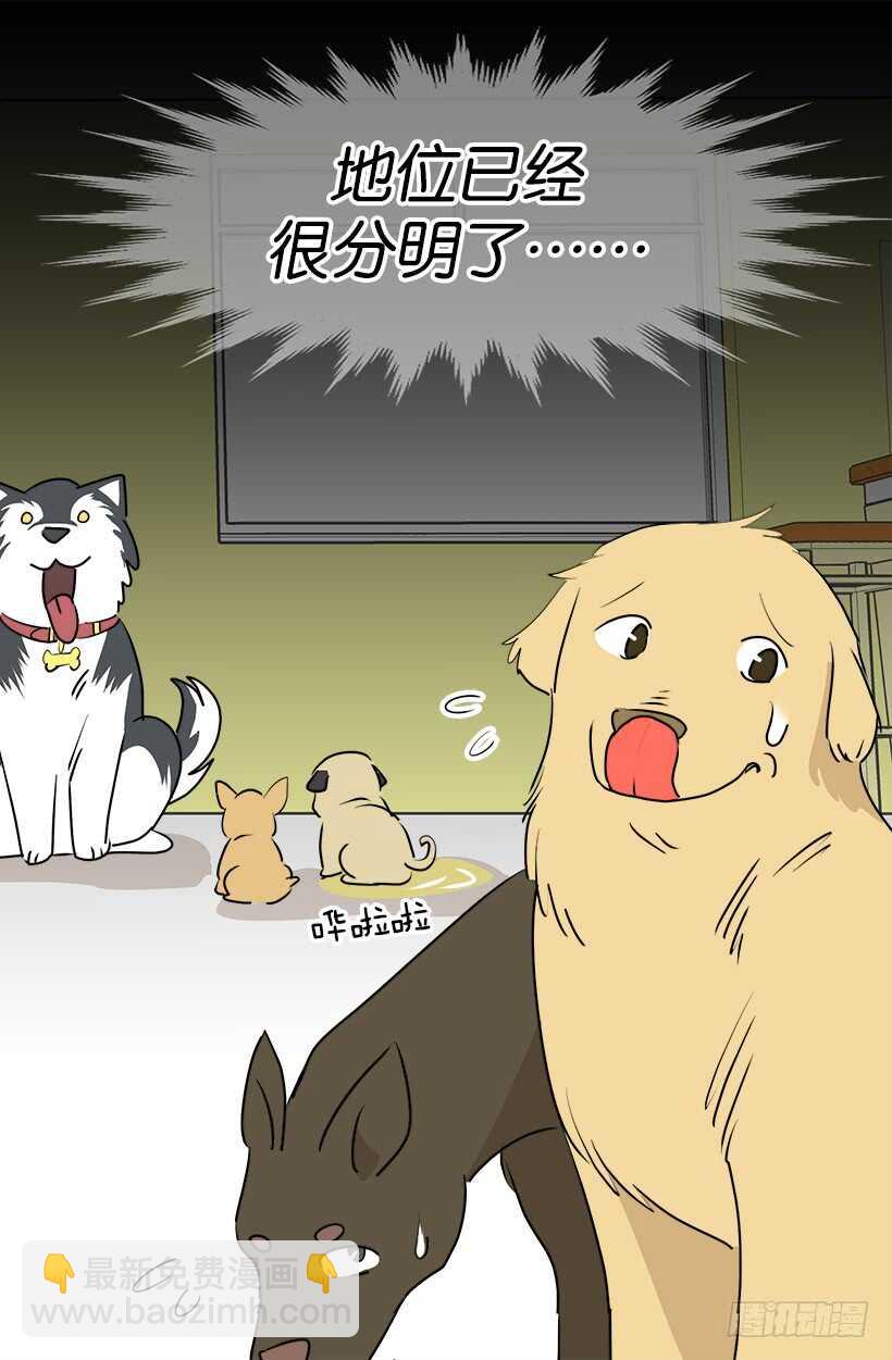 《被废弃的皇妃》意外发现秘密 第18页