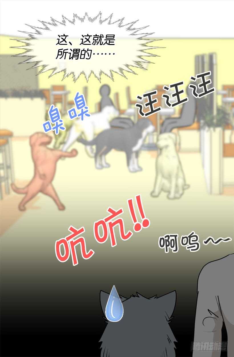 《被废弃的皇妃》意外发现秘密 第4页
