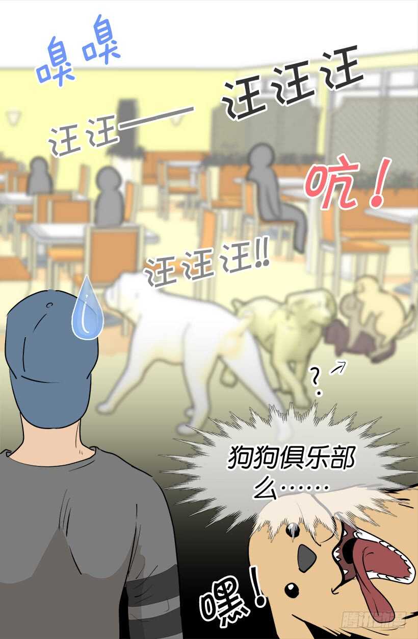 《被废弃的皇妃》意外发现秘密 第5页