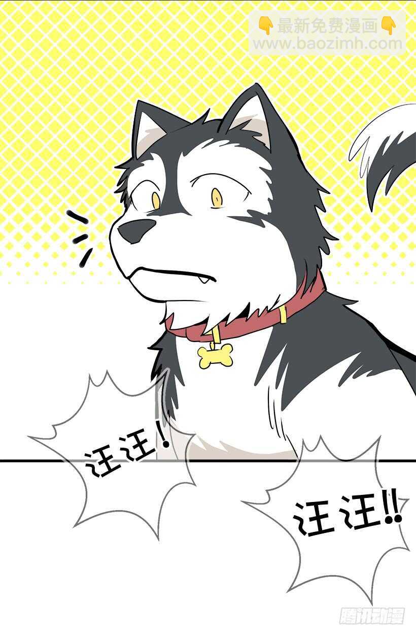 《被废弃的皇妃》意外发现秘密 第7页
